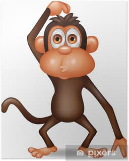 Vince The Monkey's portfolio on Invvest.co
