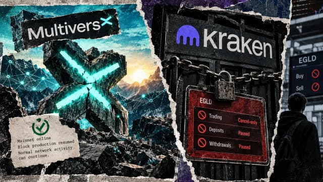 MultiversX (Elrond)-News-MultiversX restarts after exploit halt, but Kraken still bars new EGLD trades